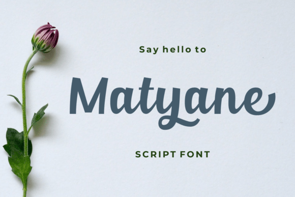 Matyane: A Script Font That Elevates Editorial Design with Elegance