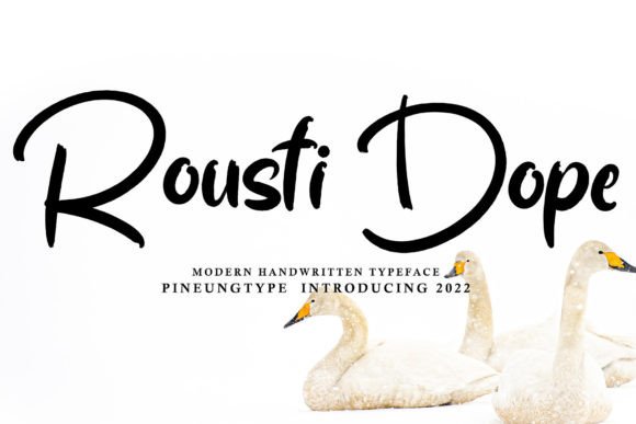 Rousti Dope: A Designer’s Real-World Font Review for Branding and Visual Projects