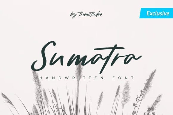 Sumatra: A Luxurious Script Font for Elegant Editorial Design